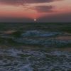 青海网友30519