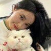 山东网友49914