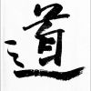 福建网友57971