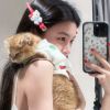 山西网友85037