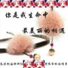 北京网友38368