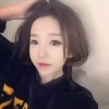 台湾网友64471