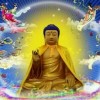 新疆网友77147