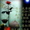 云南网友50830