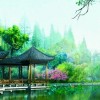 黑龙江网友60894