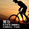 青海网友10035