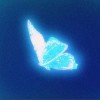 Ray077的头像-无忧免费游戏网