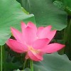 宁夏网友92876
