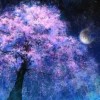 山东网友20334