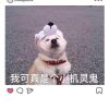 j8幸静民野