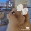 宁夏网友90885