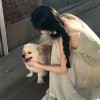 广东网友12506