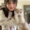 江西网友18200