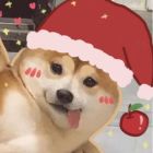 QQ头像