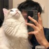 宁夏网友97095