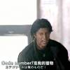 评论头像
