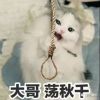 广西网友86562