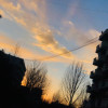 西藏网友88735