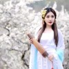 山东网友27375