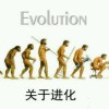 山东网友53898