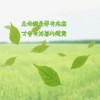 上海网友26297