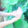 陕西网友68527
