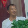 宁夏网友15043