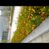 山东网友70281