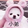 天津网友84393