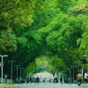 山西网友87786