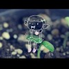 云南网友37945