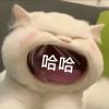 河南网友56467