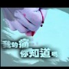 海南网友56666