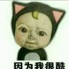 辽宁网友90877