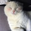 西藏网友38394