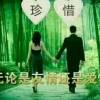 海南网友61011