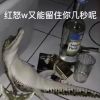 荒漠小鱼