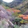 广东网友62776