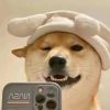 新疆网友13728