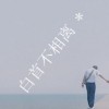 西藏网友69912