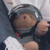 新疆网友24007