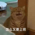 QQ头像
