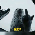 QQ头像