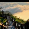宁夏网友58975