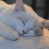 天津网友72839