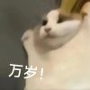 评论头像