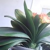 宁夏网友66981