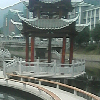 山东网友68674