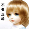 甘肃网友10284