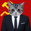 网友昵称：1822808374